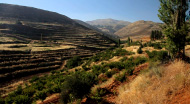 Hills above Zahle, Bekaa Valley, 2011